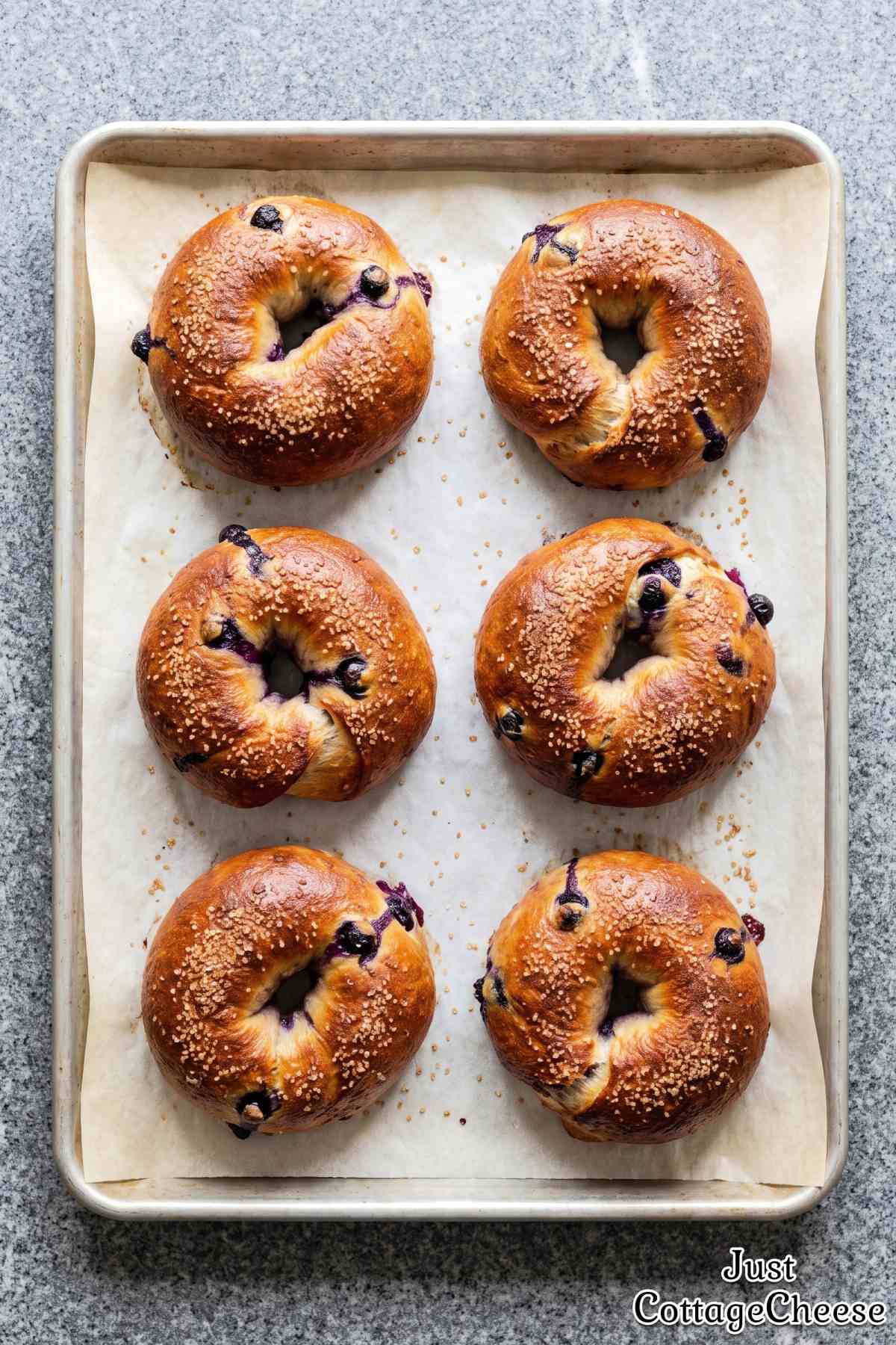 Golden cottage cheese blueberry bagel