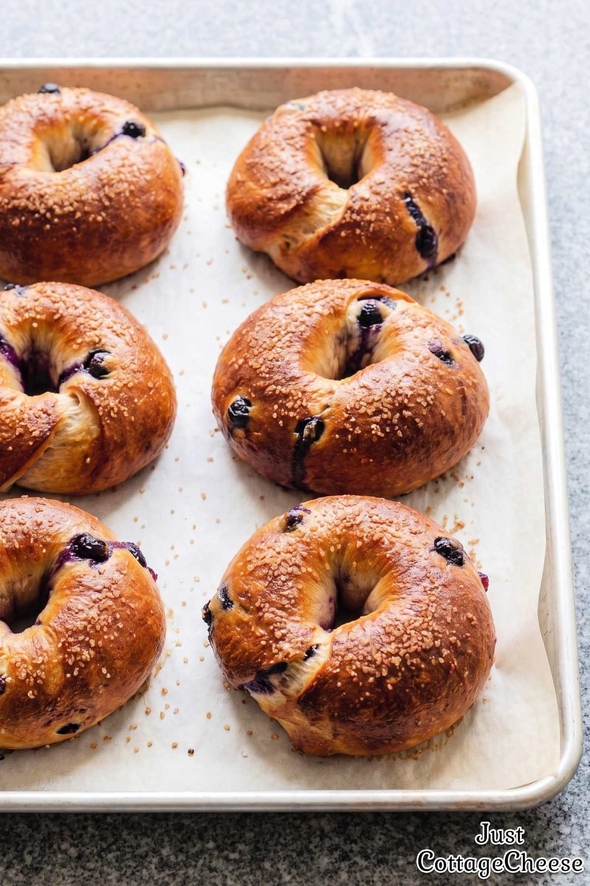 Fresh cottage cheese blueberry bagels
