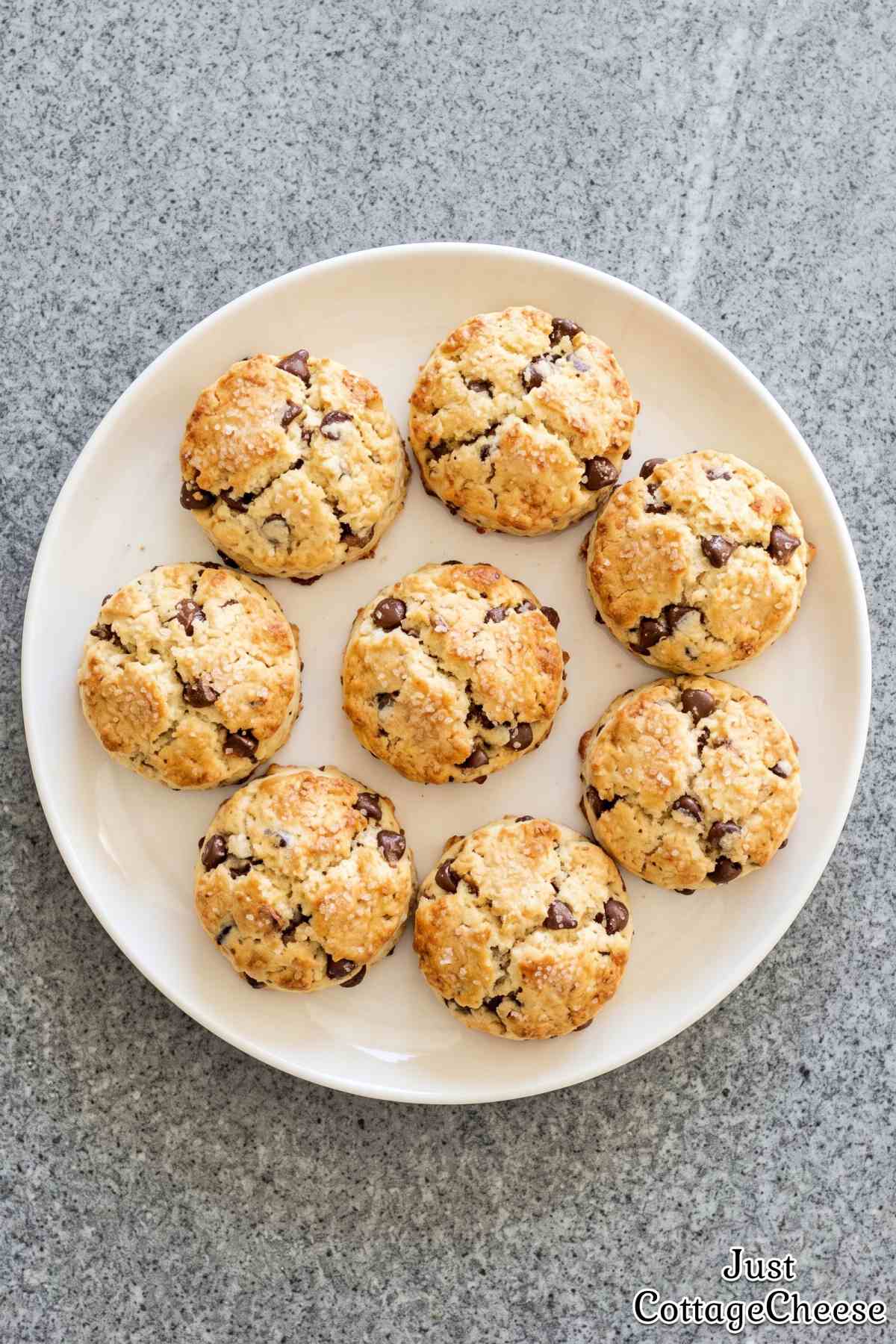 Soft cottage cheese chocolate chip biscuits
