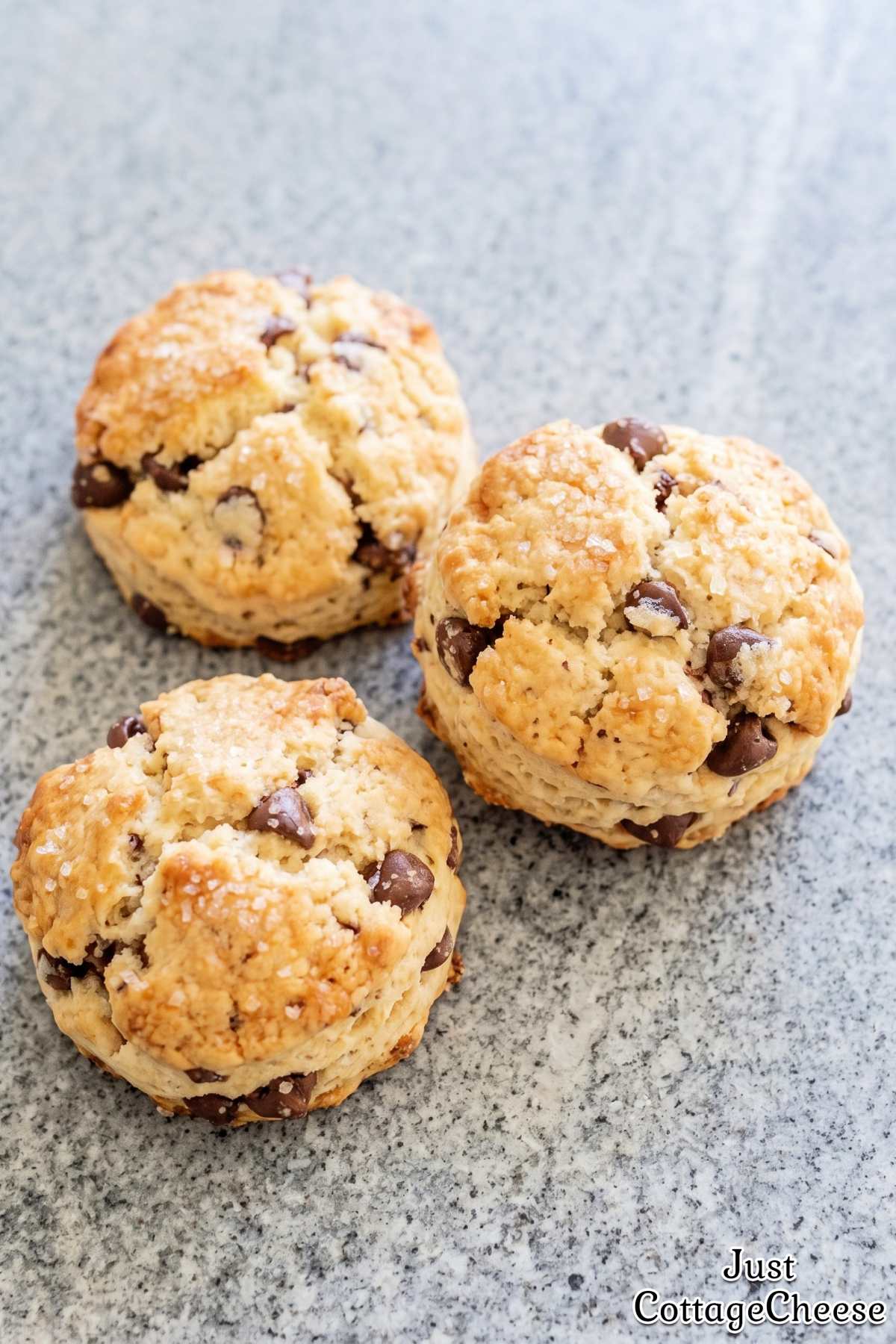 Homemade chocolate chip cottage cheese biscuit