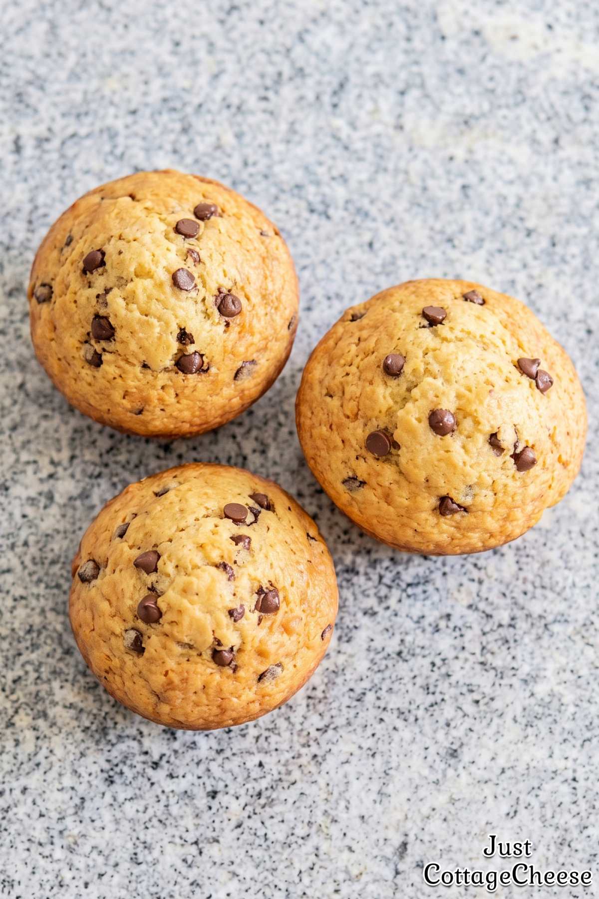 Tender chocolate chip snack muffins