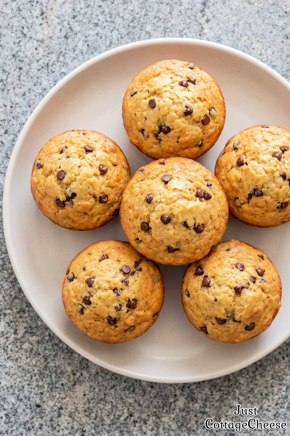 Cottage cheese chocolate chip muffins