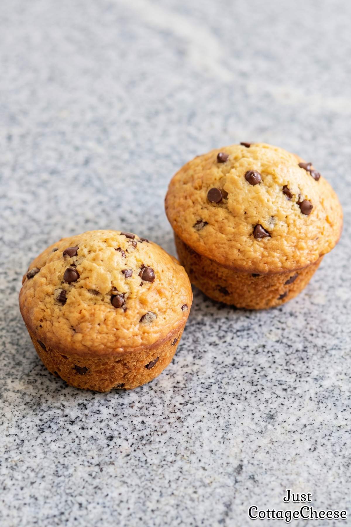 Easy cottage cheese chocolate muffins