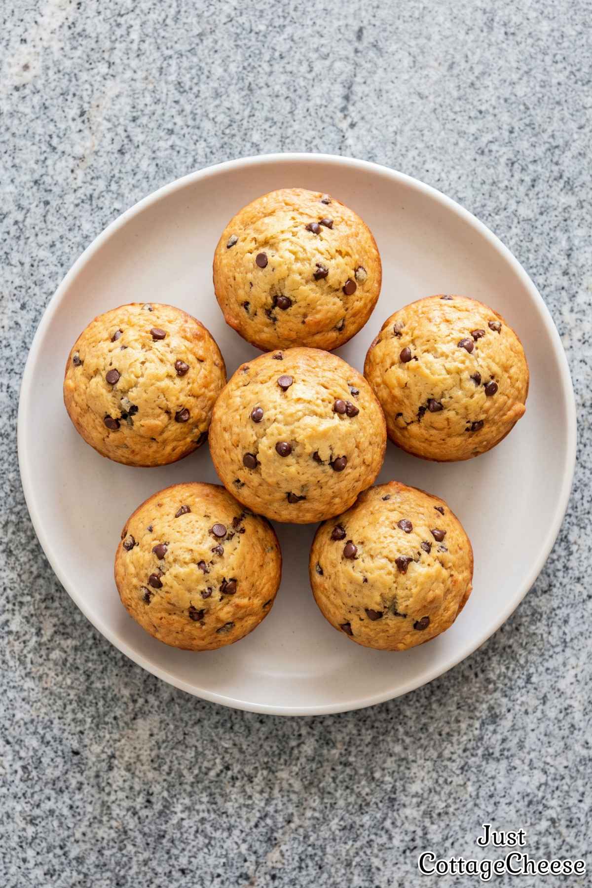 Chocolate chip cottage cheese muffins