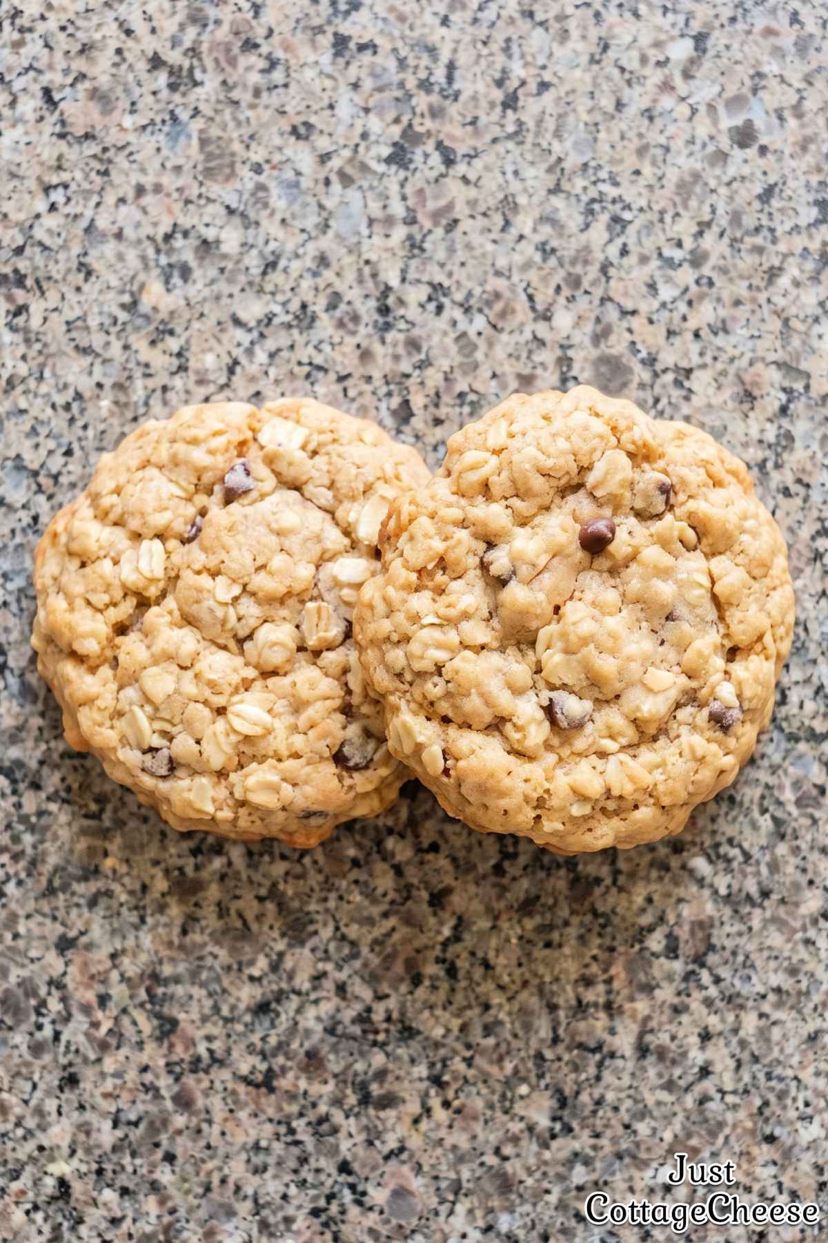 Easy cottage cheese oat cookies fresh baked