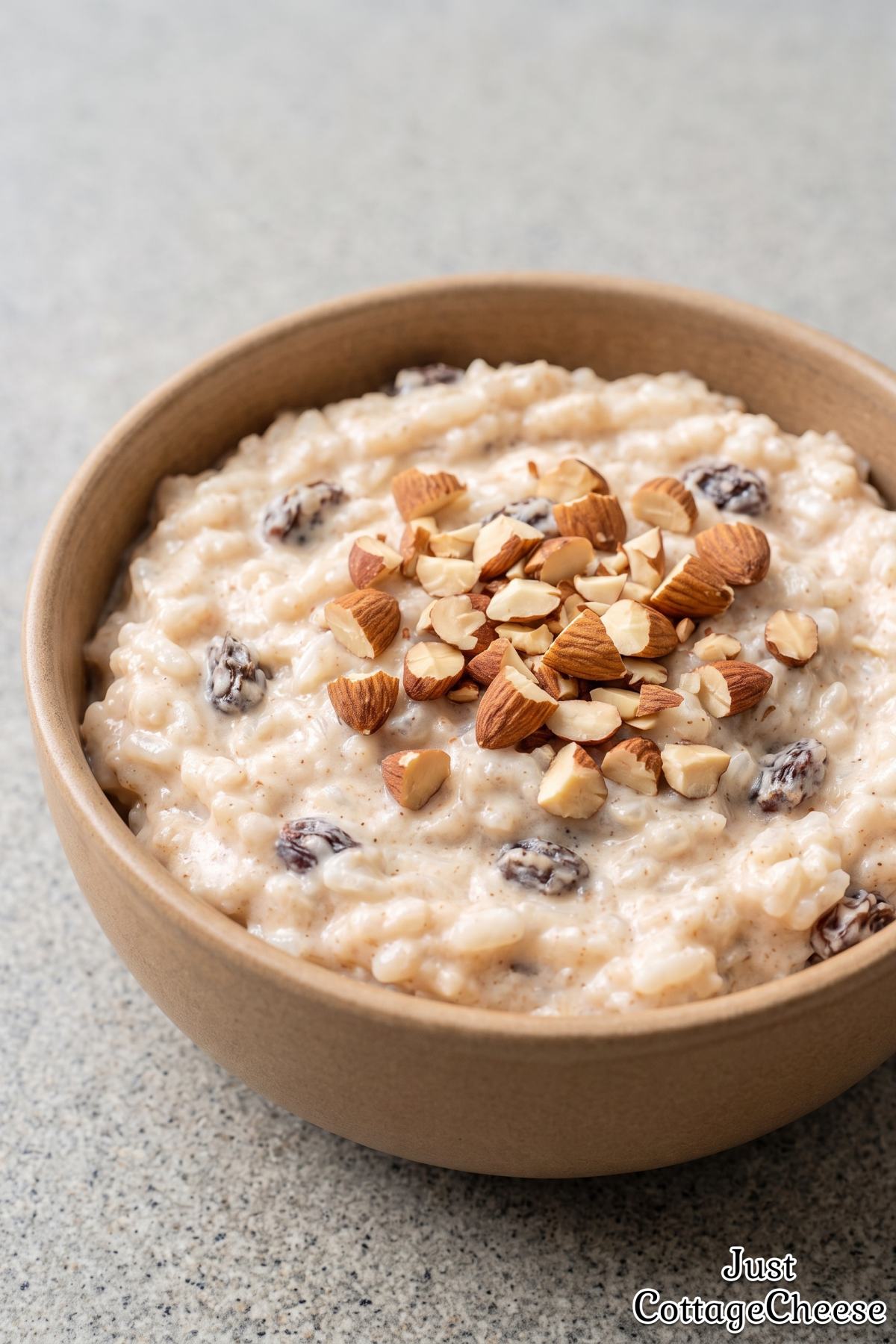 Simple creamy cottage cheese rice pudding