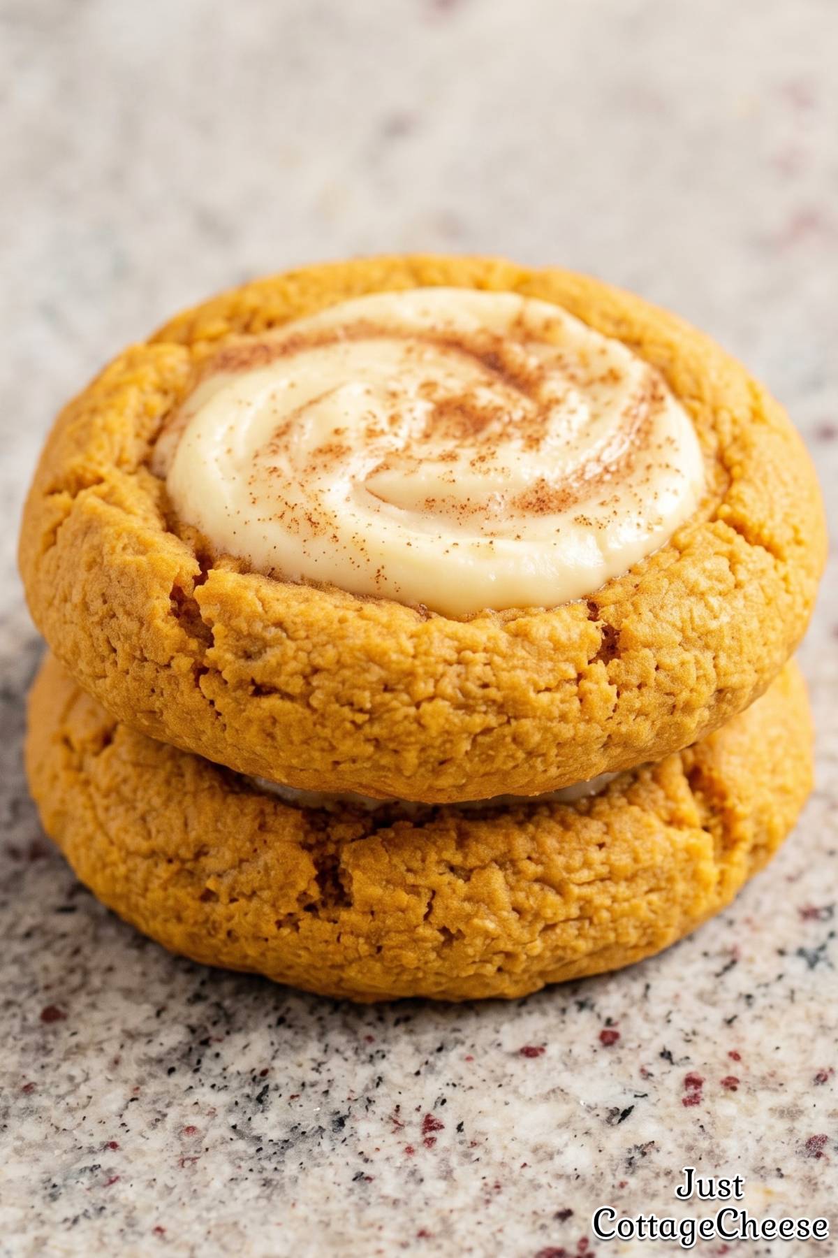 Creamy swirl cottage cheese pumpkin cookies