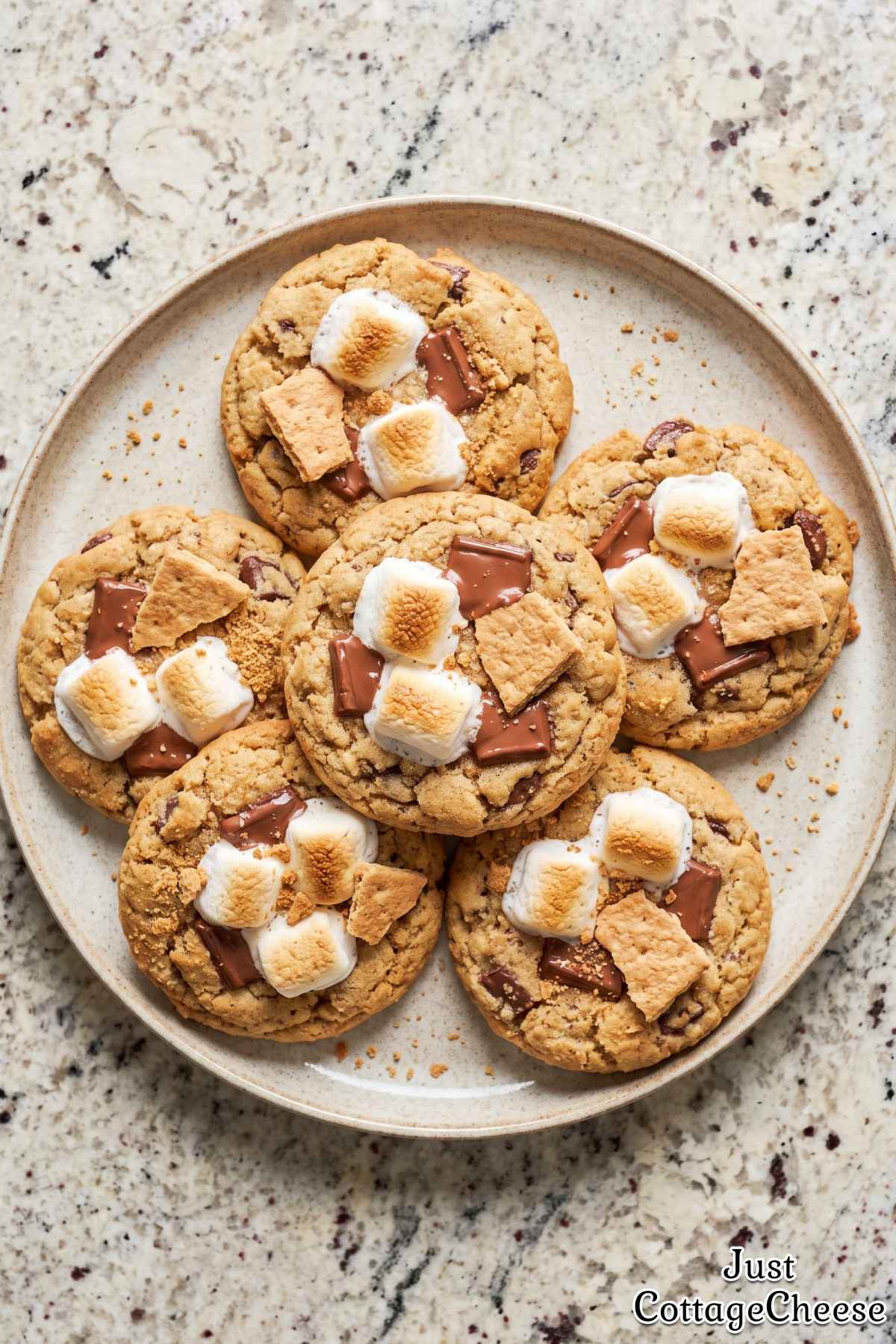 Wholesome s'mores cottage cheese cookies