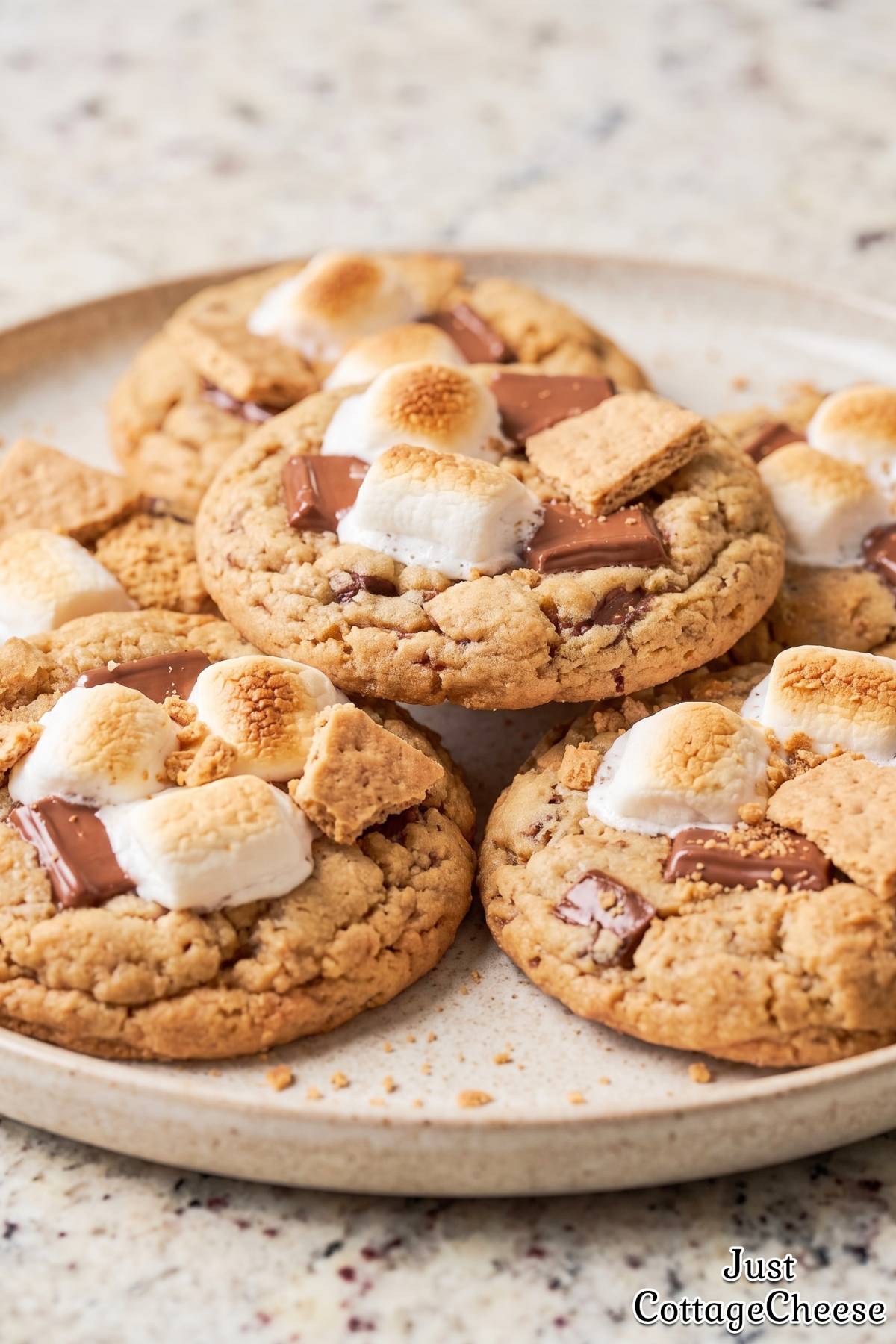 Baked cottage cheese protein s'mores cookies