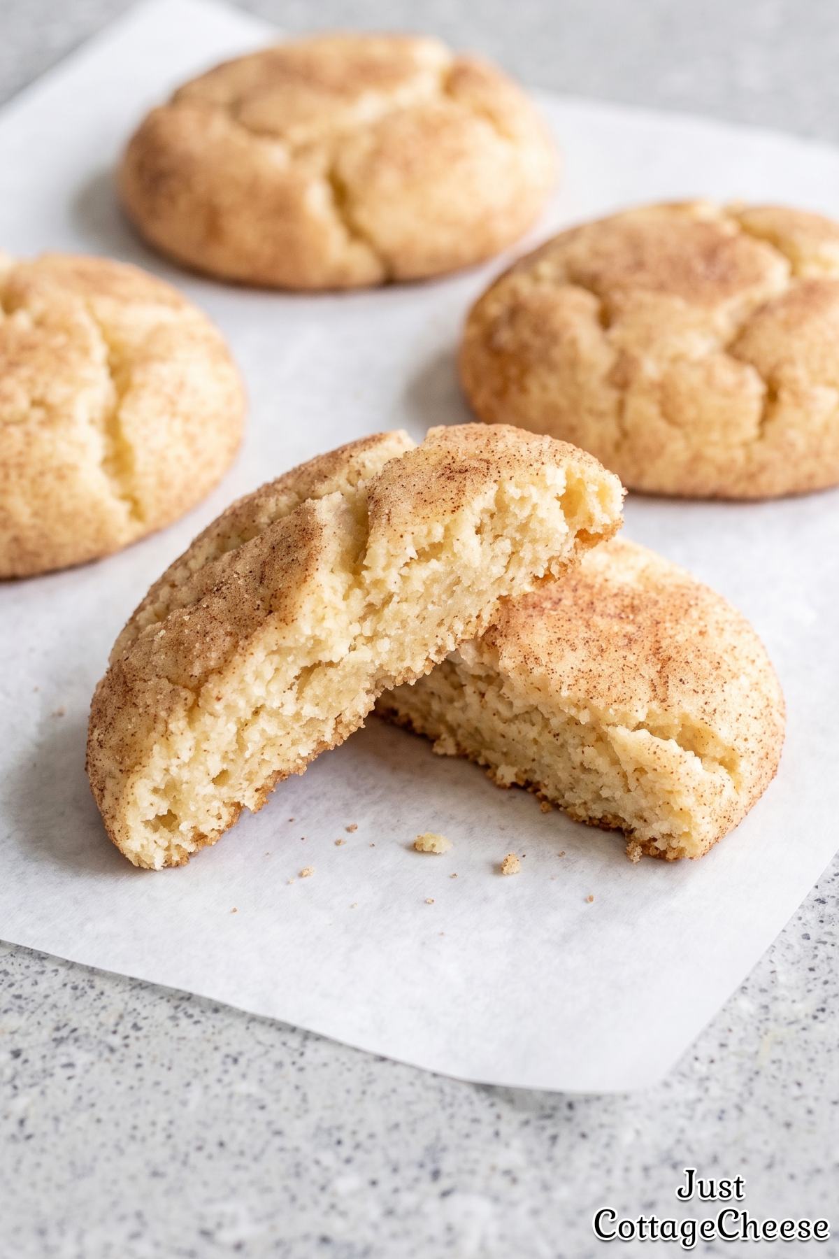 Cinnamon sugar protein snickerdoodles