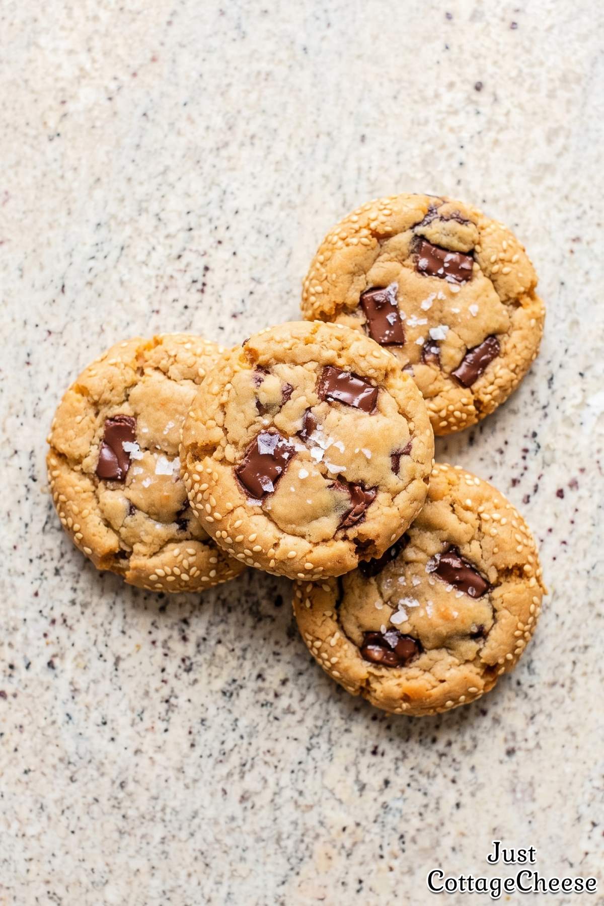 Nutty tahini chocolate chip protein cookies