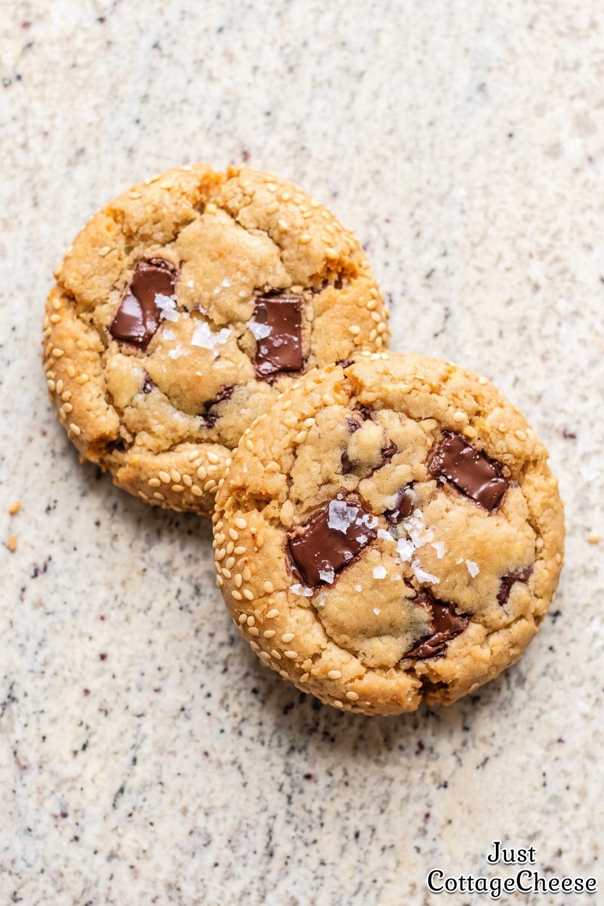 Rich cottage cheese protein tahini cookies