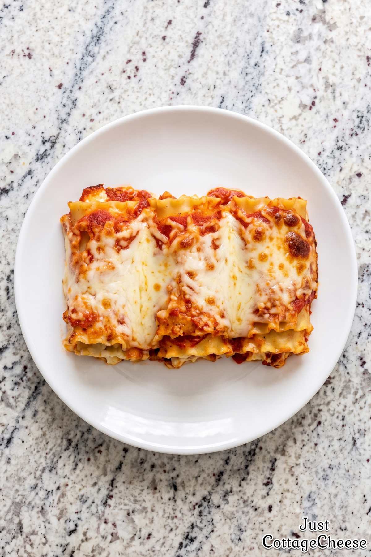 Healthy protein turkey lasagna roll ups