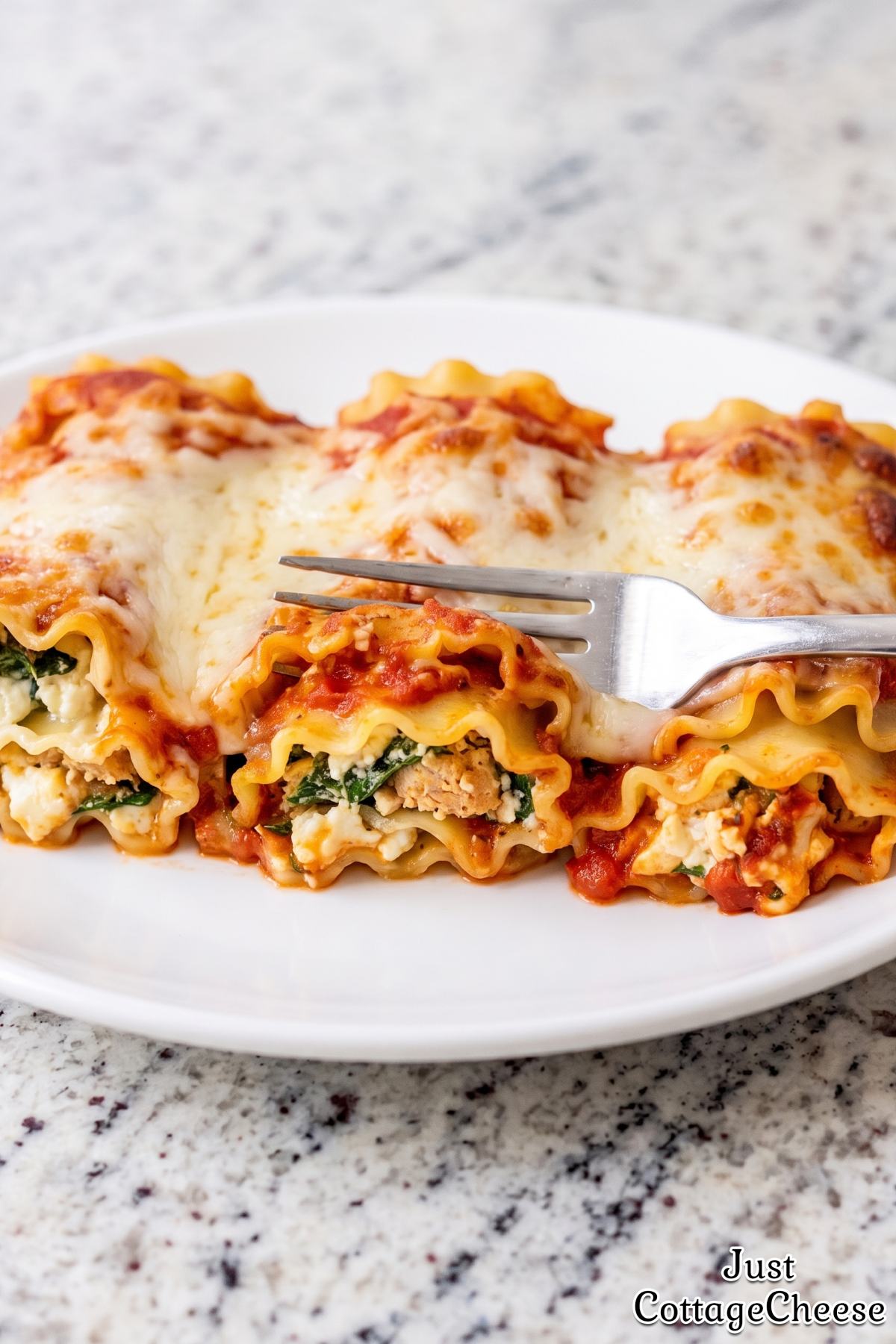 Savory turkey lasagna roll ups with cheese