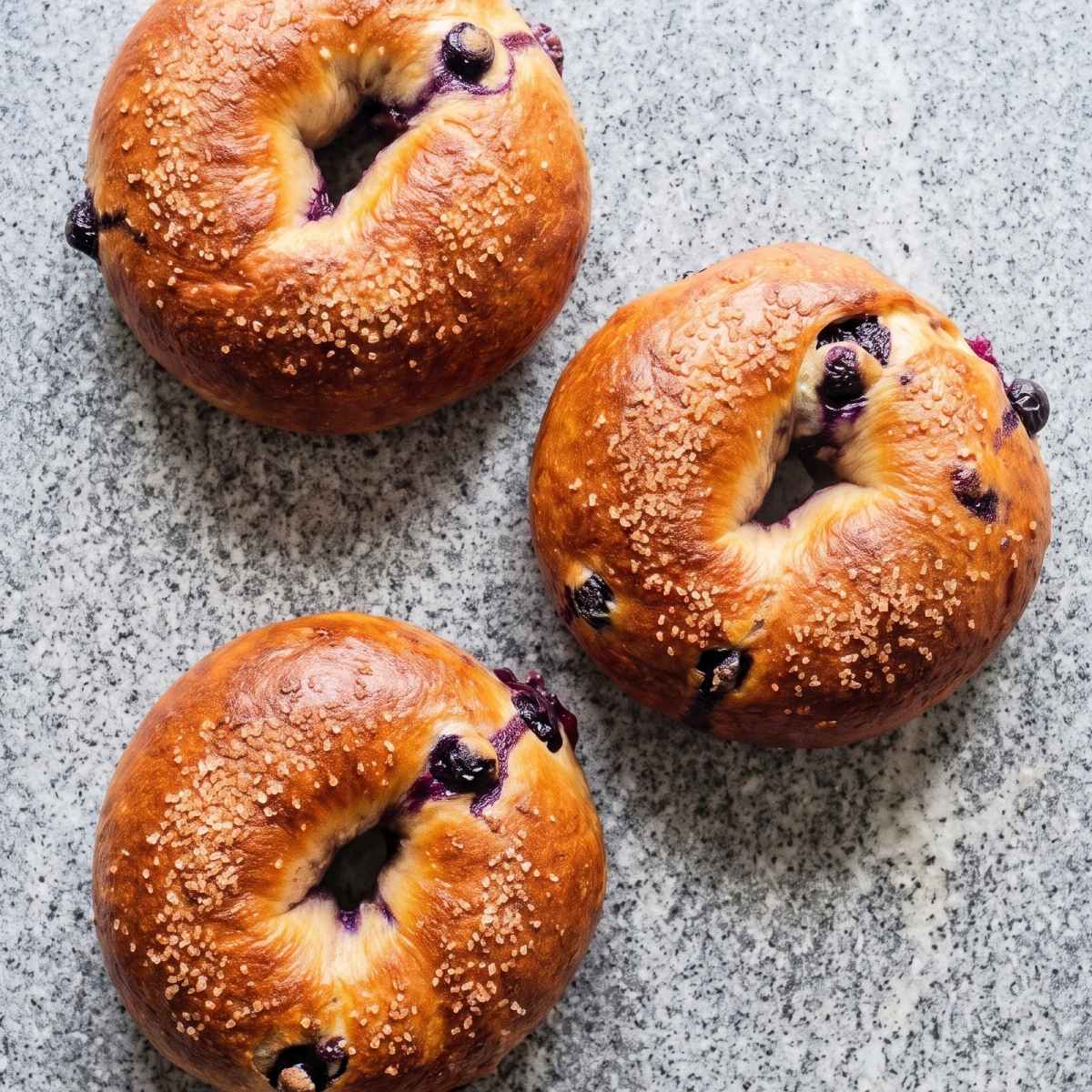 Cottage Cheese Blueberry Bagels